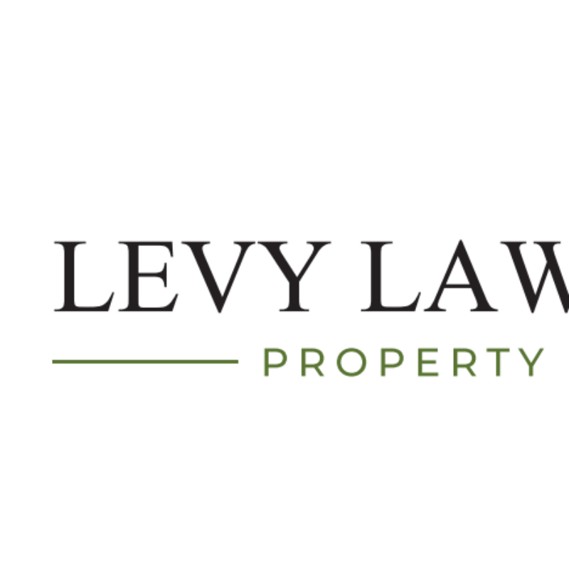 Levy Law Branding