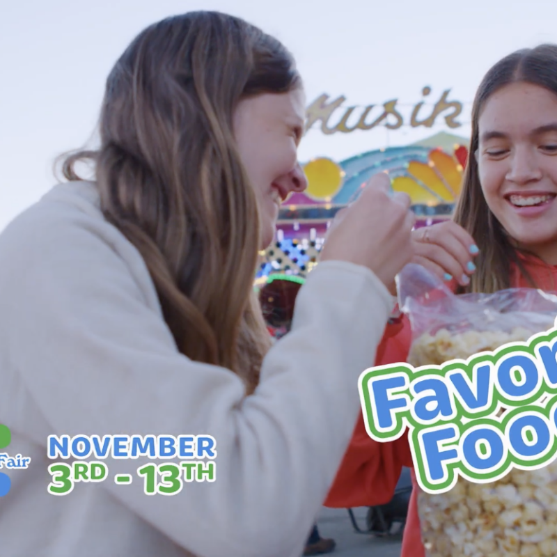 North Florida Fair TV Ad